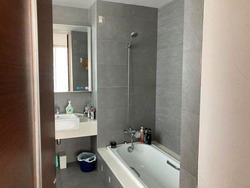 The Suites At Central (D9), Condominium #572693661